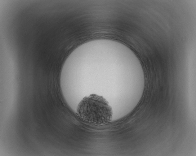 X0000110900219200906180952