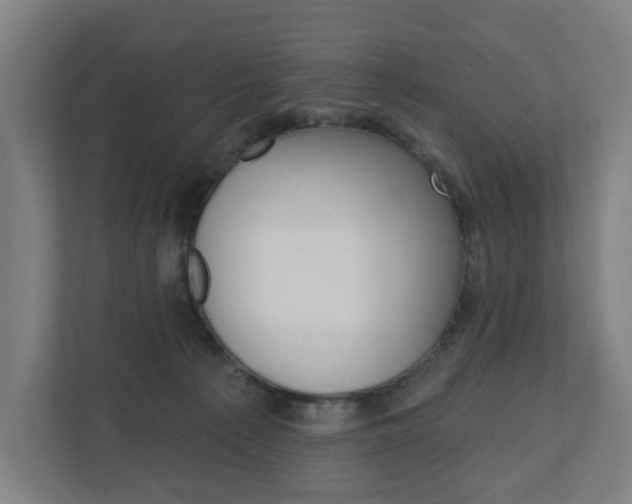 X0000110900225200906180952