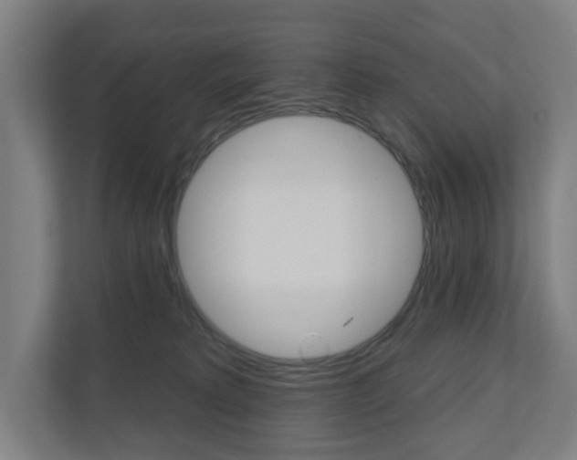 X0000110900229200906180952