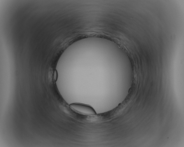 X0000110900231200906180952