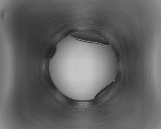 X0000110900233200906180952