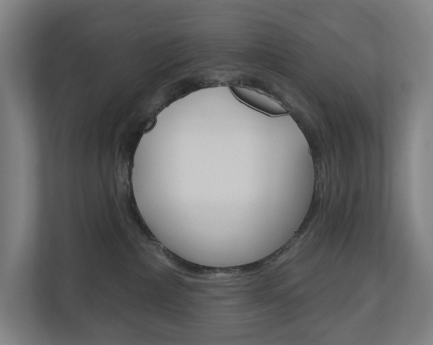 X0000110900236200906180952