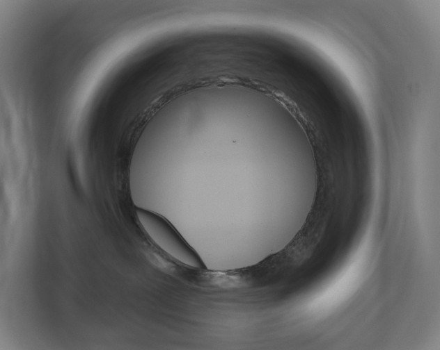 X0000110900239200906180952