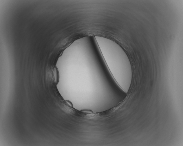 X0000110900240200906180952