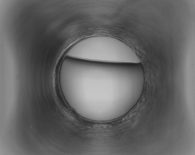 X0000110900242200906180951