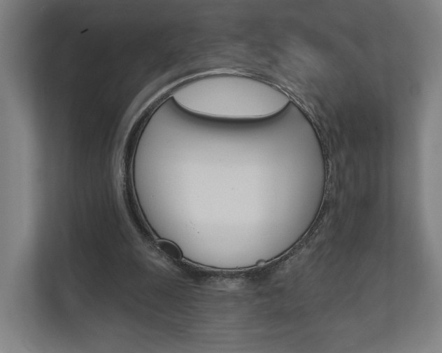 X0000110900247200906180952