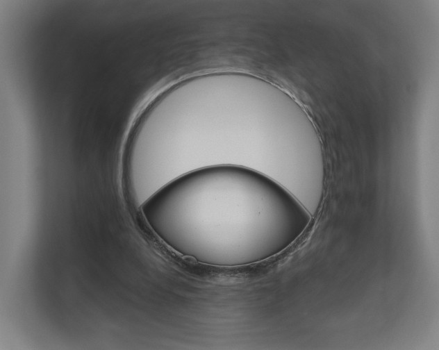 X0000110900248200906180952