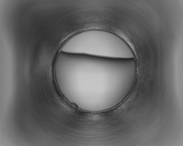X0000110900249200906180952