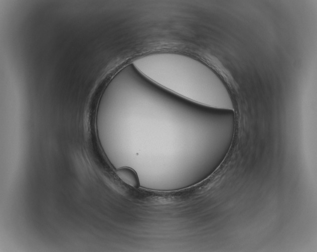 X0000110900250200906180952