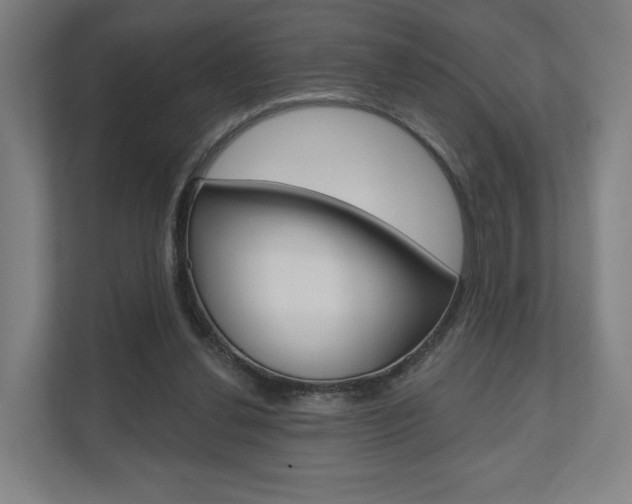 X0000110900252200906180952
