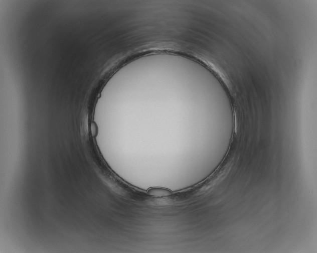 X0000110900253200906180952