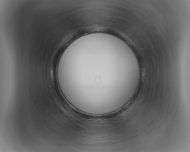 X0000110900254200906180952