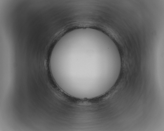 X0000110900258200906180952