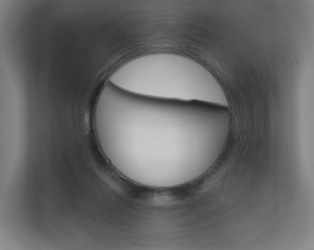 X0000110900262200906180952
