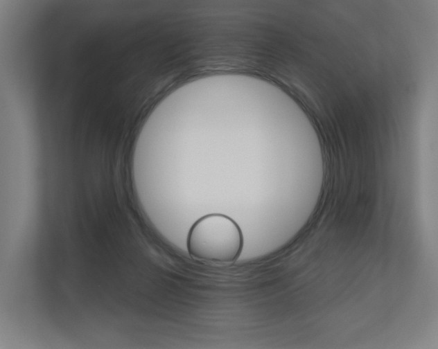 X0000110900264200906180952
