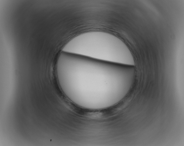 X0000110900266200906180952
