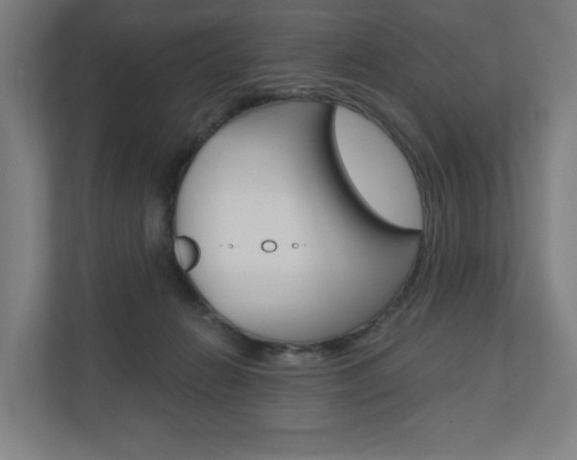X0000110900270200906180952
