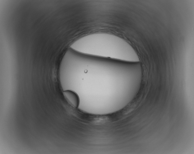 X0000110900274200906180952