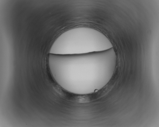 X0000110900275200906180952