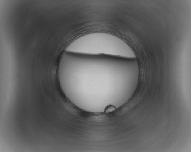 X0000110900278200906180952