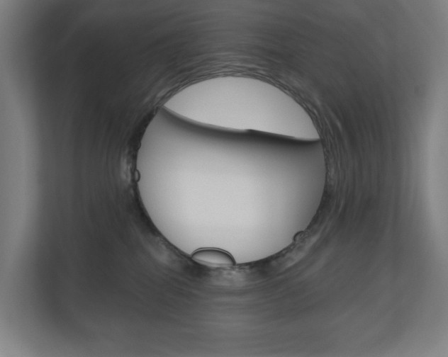 X0000110900282200906180952