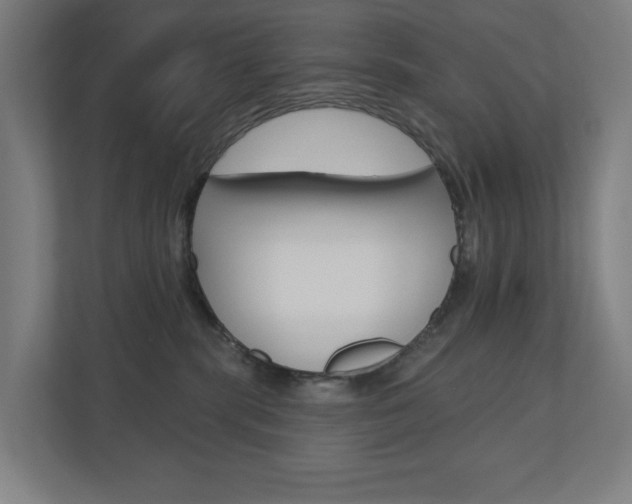 X0000110900283200906180952