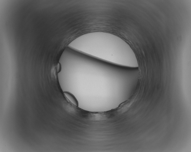 X0000110900286200906180952