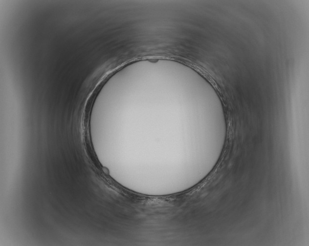 X0000110900290200906180951