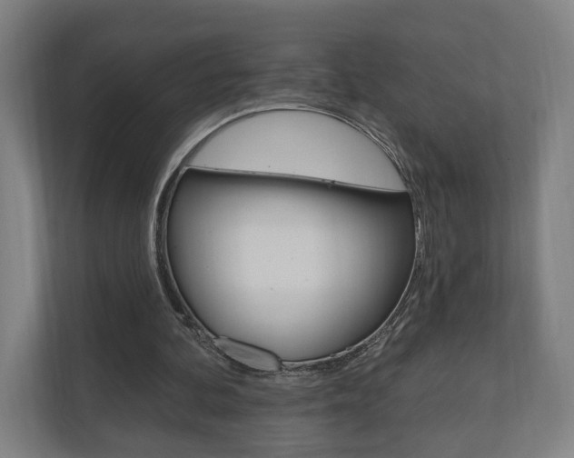 X0000110900292200906180951