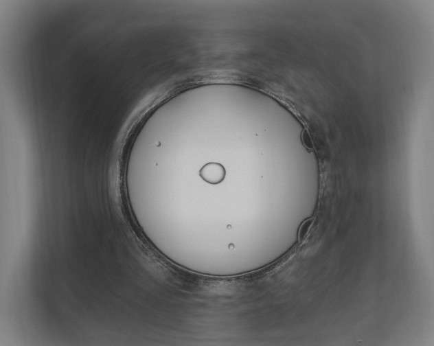 X0000110900293200906180951