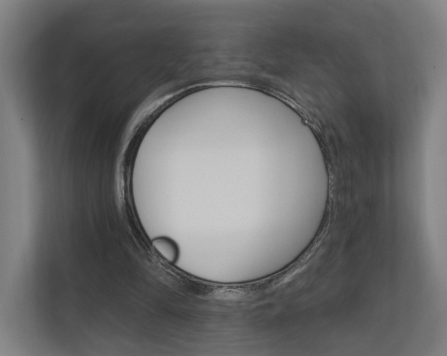 X0000110900294200906180951