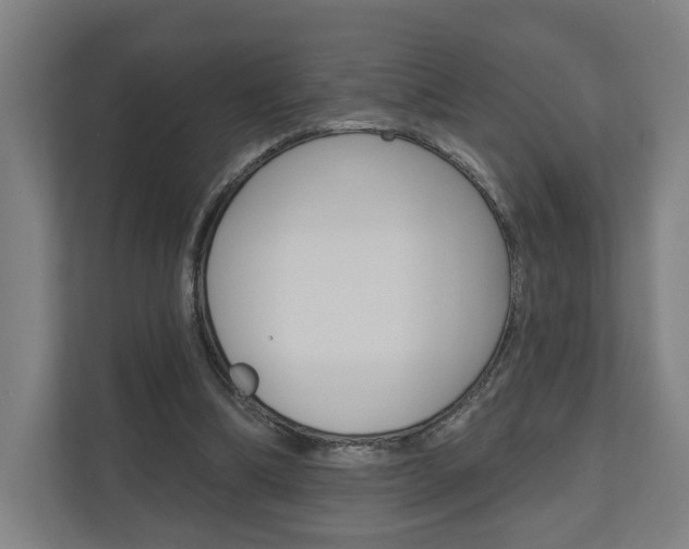 X0000110900298200906180951