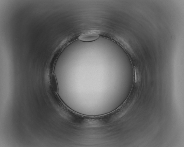 X0000110900300200906180951