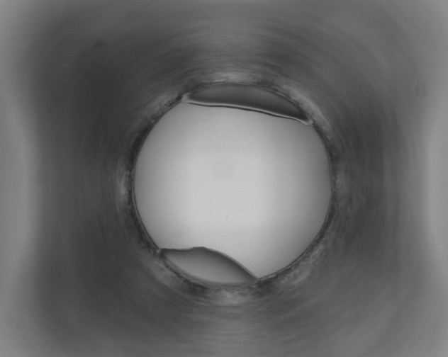 X0000110900305200906180951