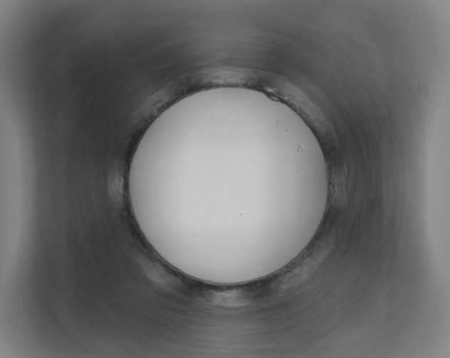 X0000110900309200906180951