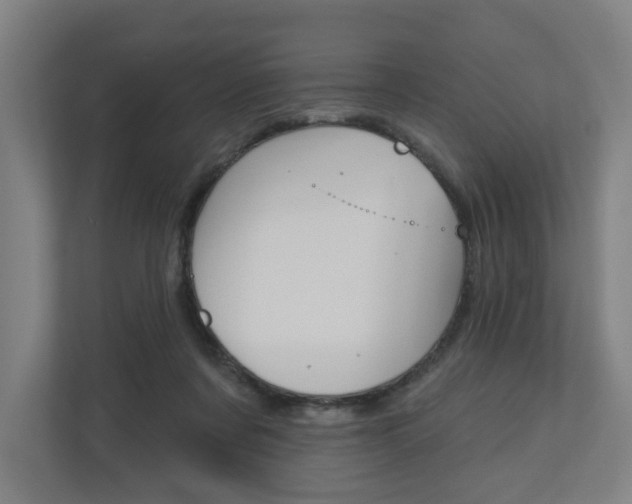 X0000110900311200906180951