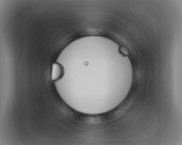 X0000110900317200906180951