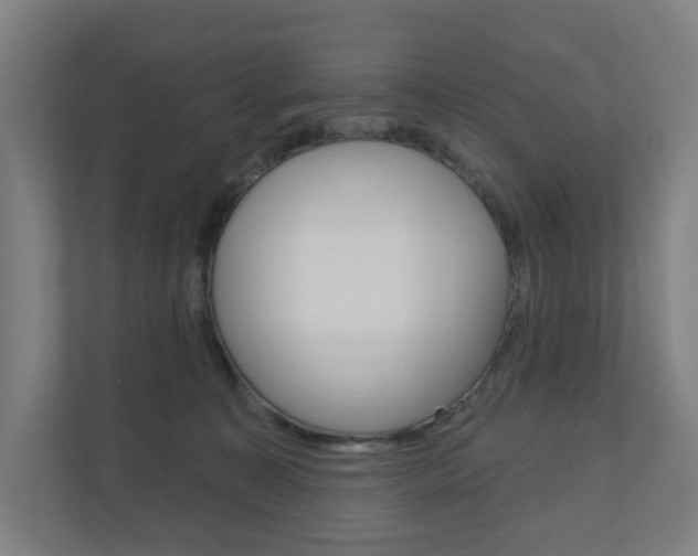 X0000110900323200906180951