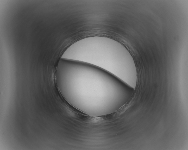 X0000110900333200906180951