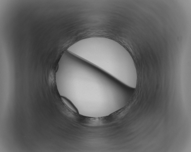 X0000110900335200906180951