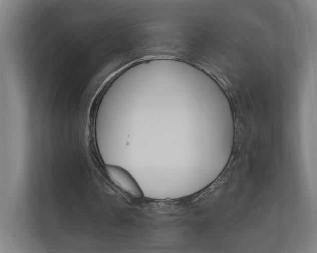 X0000110900338200906180950
