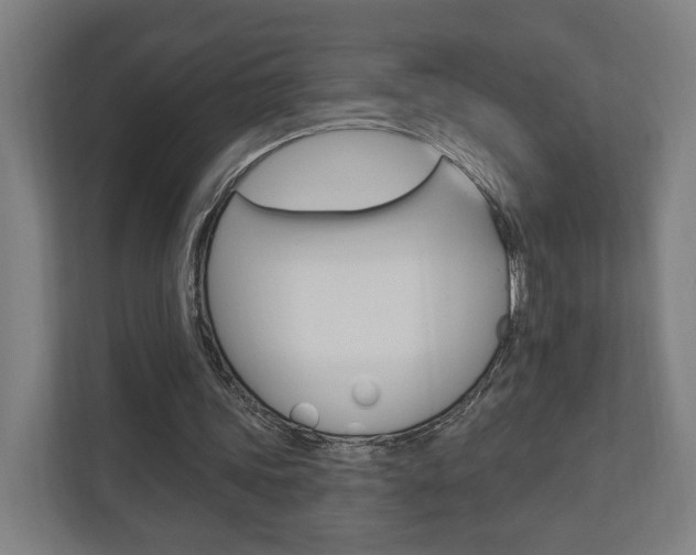 X0000110900339200906180950