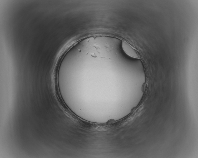 X0000110900341200906180950