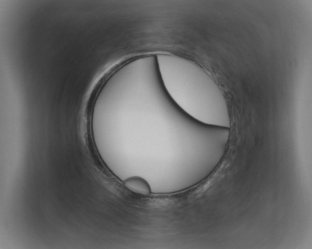 X0000110900342200906180950