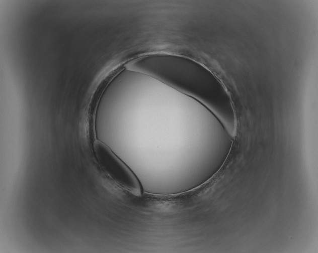 X0000110900344200906180950