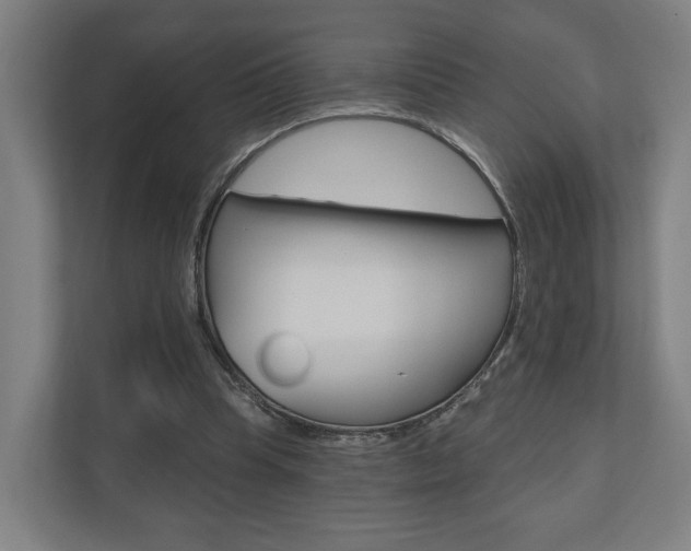 X0000110900345200906180950