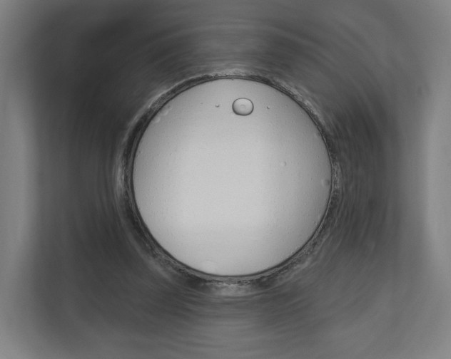 X0000110900347200906180950