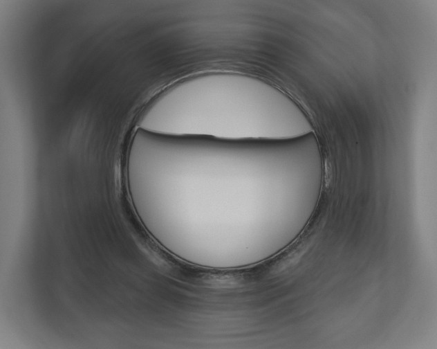 X0000110900349200906180950