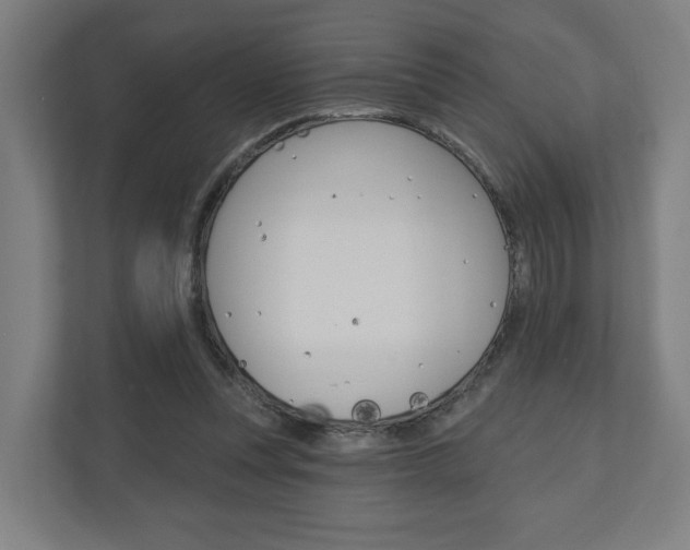 X0000110900351200906180950