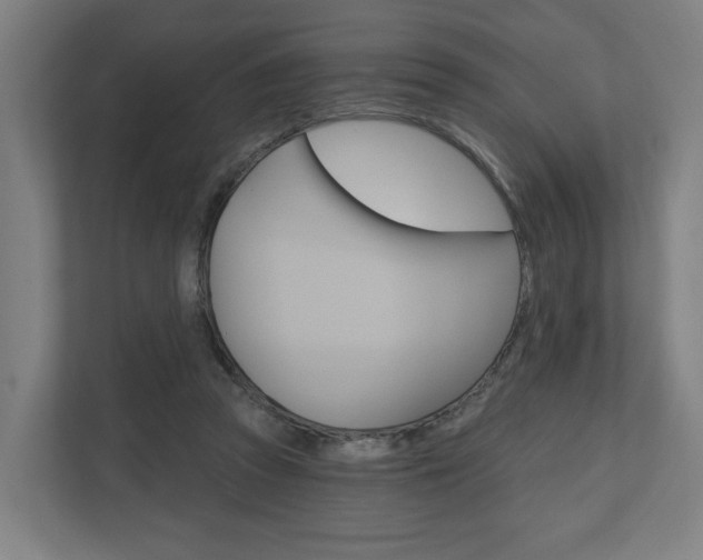 X0000110900353200906180950